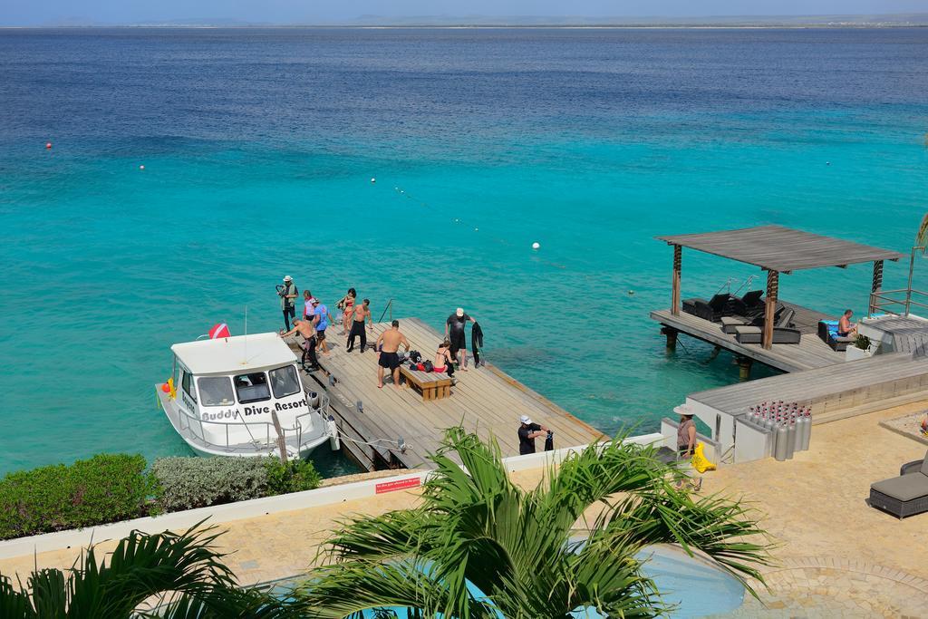 Belmar Oceanfront Apartments Bonaire エクステリア 写真
