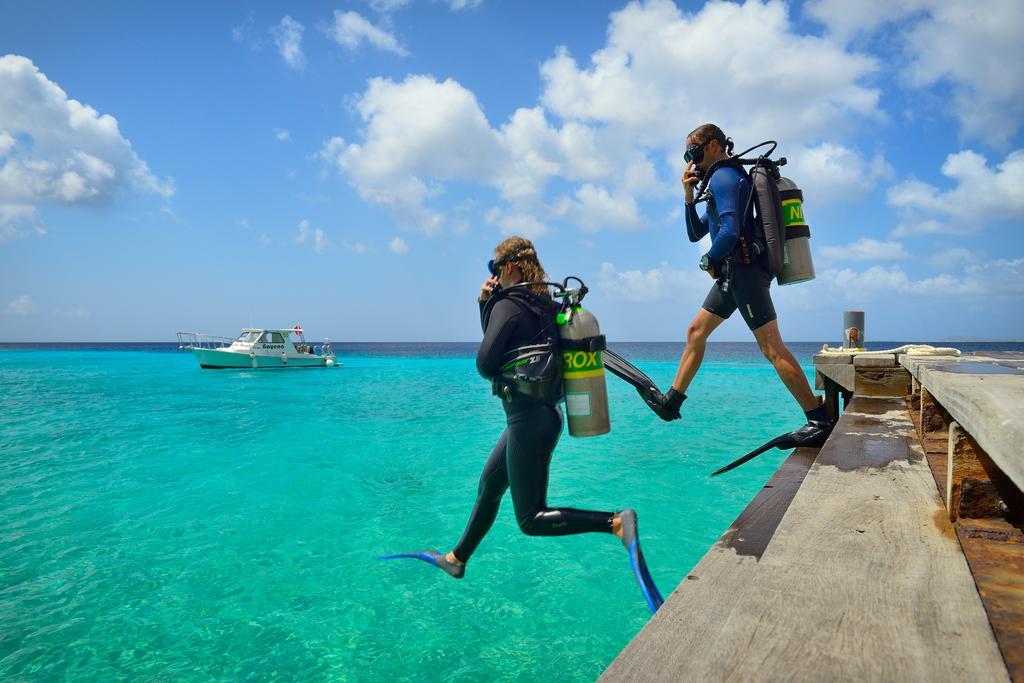 Belmar Oceanfront Apartments Bonaire エクステリア 写真