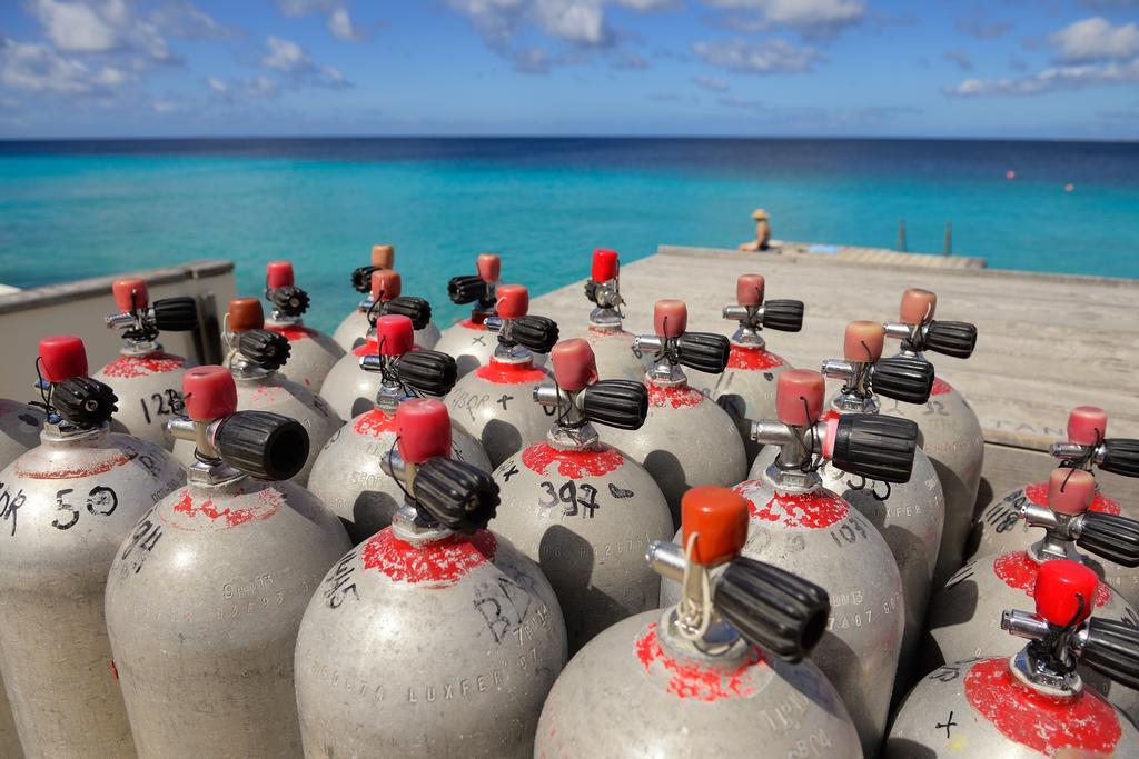 Belmar Oceanfront Apartments Bonaire エクステリア 写真