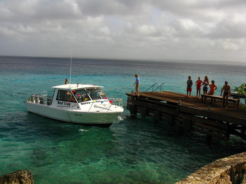 Belmar Oceanfront Apartments Bonaire エクステリア 写真