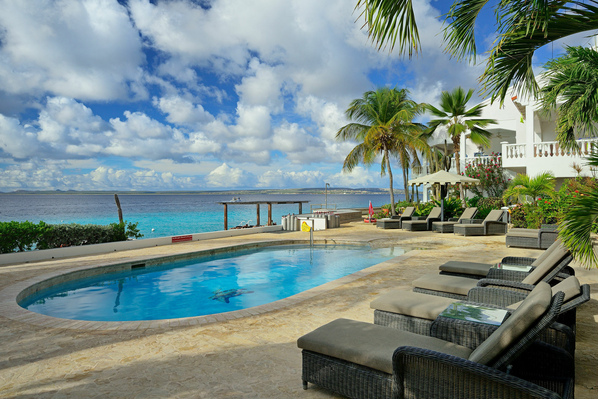 Belmar Oceanfront Apartments Bonaire エクステリア 写真